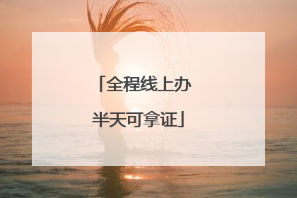 全程线上办 半天可拿证