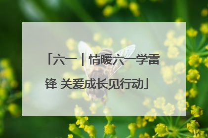 六一｜情暖六一学雷锋 关爱成长见行动