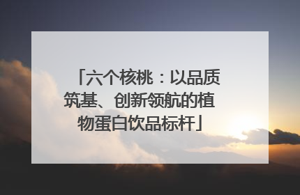 六个核桃：以品质筑基、创新领航的植物蛋白饮品标杆