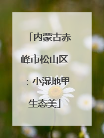 内蒙古赤峰市松山区：小湿地里生态美