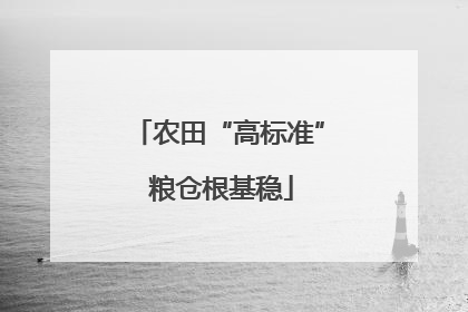 农田“高标准” 粮仓根基稳
