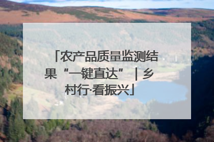 农产品质量监测结果“一键直达”｜乡村行·看振兴