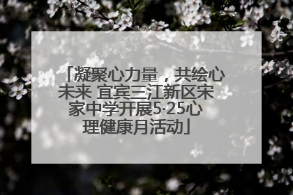 凝聚心力量，共绘心未来 宜宾三江新区宋家中学开展5·25心理健康月活动