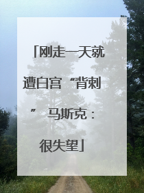 刚走一天就遭白宫“背刺” 马斯克：很失望