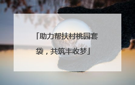 助力帮扶村桃园套袋，共筑丰收梦
