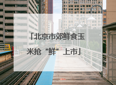 北京市郊鲜食玉米抢“鲜”上市