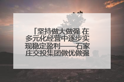 坚持做大做强 在多元化经营中逐步实现稳定盈利——石家庄交投集团做优做强典型报道之三