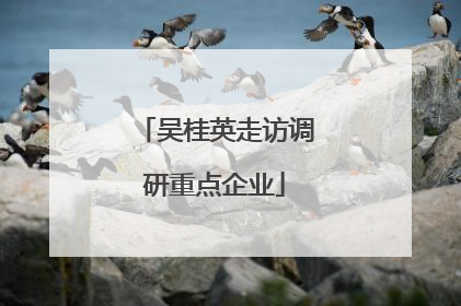 吴桂英走访调研重点企业