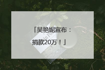 吴艳妮宣布：捐款20万！