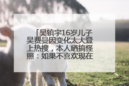 吴镇宇16岁儿子吴费曼因变化太大登上热搜，本人晒搞怪照：如果不喜欢现在的我可以离开