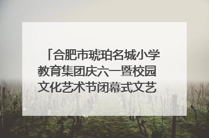 合肥市琥珀名城小学教育集团庆六一暨校园文化艺术节闭幕式文艺汇演圆满举行