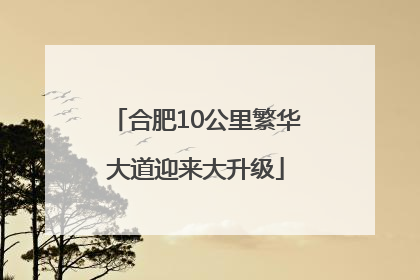 合肥10公里繁华大道迎来大升级
