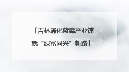吉林通化蓝莓产业铺就“绿富同兴”新路