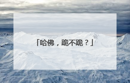 哈佛，跪不跪？