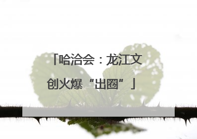 哈洽会：龙江文创火爆“出圈”