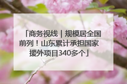 商务视线｜规模居全国前列！山东累计承担国家援外项目340多个