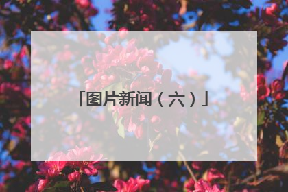 图片新闻（六）
