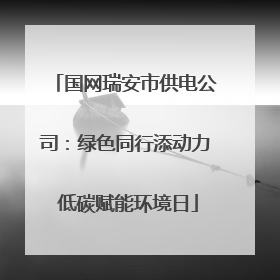 国网瑞安市供电公司：绿色同行添动力 低碳赋能环境日