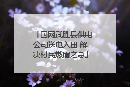 国网武胜县供电公司送电入田 解决村民燃眉之急