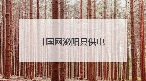 国网泌阳县供电公司：开展安全宣传咨询日活动