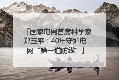 国家电网首席科学家郑玉平：40年守护电网“第一道防线”