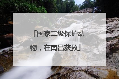 国家二级保护动物，在南昌获救