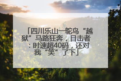 四川乐山一鸵鸟“越狱”马路狂奔，目击者：时速超40码，还对我“笑”了下