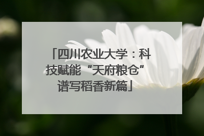 四川农业大学：科技赋能“天府粮仓”谱写稻香新篇