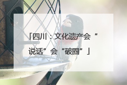 四川：文化遗产会“说话”会“破圈”