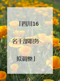 四川16名干部职务拟调整