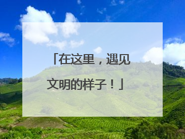 在这里，遇见文明的样子！