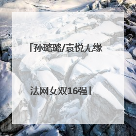 孙璐璐/袁悦无缘法网女双16强