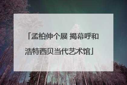 孟柏伸个展 揭幕呼和浩特西贝当代艺术馆