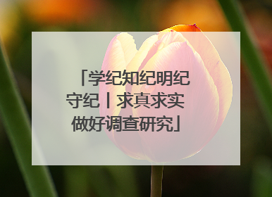 学纪知纪明纪守纪丨求真求实做好调查研究