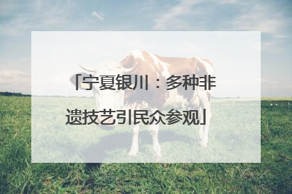 宁夏银川：多种非遗技艺引民众参观