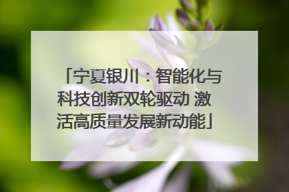 宁夏银川：智能化与科技创新双轮驱动 激活高质量发展新动能