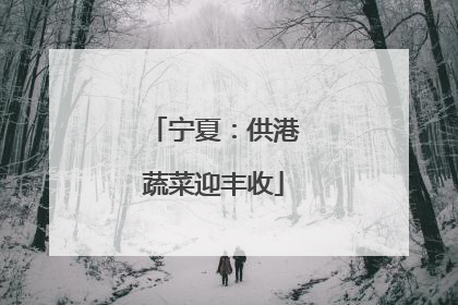 宁夏：供港蔬菜迎丰收