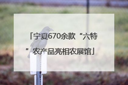 宁夏670余款“六特”农产品亮相农展馆