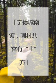 宁德城南镇：强村共富有“土”方