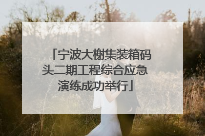 宁波大榭集装箱码头二期工程综合应急演练成功举行