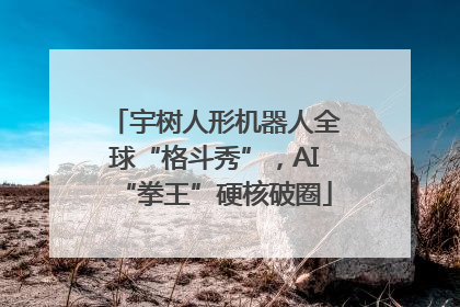 宇树人形机器人全球“格斗秀”，AI“拳王”硬核破圈