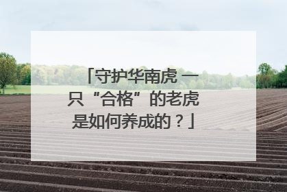 守护华南虎 一只“合格”的老虎是如何养成的？