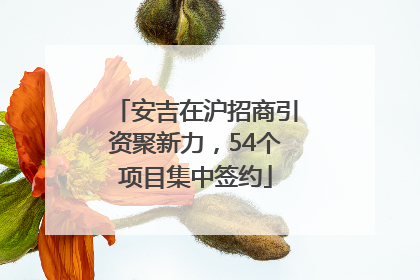 安吉在沪招商引资聚新力，54个项目集中签约
