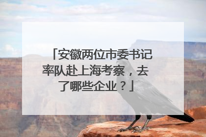 安徽两位市委书记率队赴上海考察，去了哪些企业？