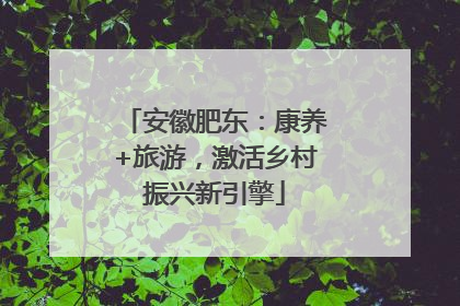 安徽肥东：康养+旅游，激活乡村振兴新引擎