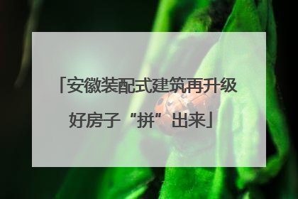 安徽装配式建筑再升级 好房子“拼”出来