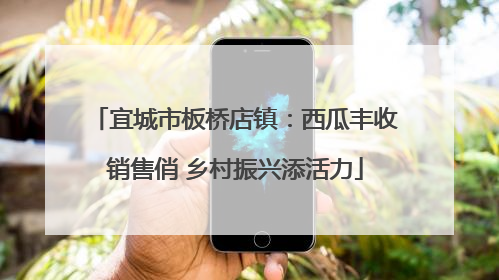 宜城市板桥店镇：西瓜丰收销售俏 乡村振兴添活力