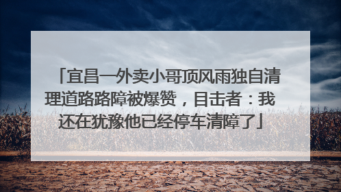 宜昌一外卖小哥顶风雨独自清理道路路障被爆赞，目击者：我还在犹豫他已经停车清障了