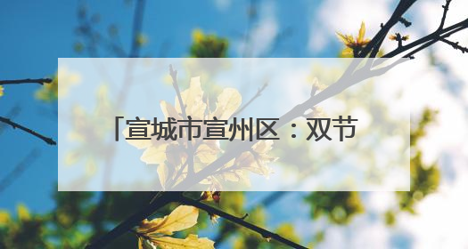 宣城市宣州区：双节同庆 “粽”享欢乐