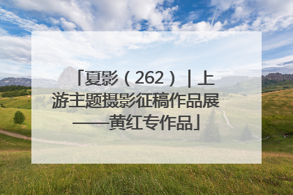 夏影（262）｜上游主题摄影征稿作品展——黄红专作品